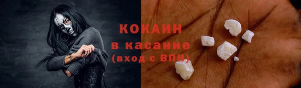 метадон Ельня