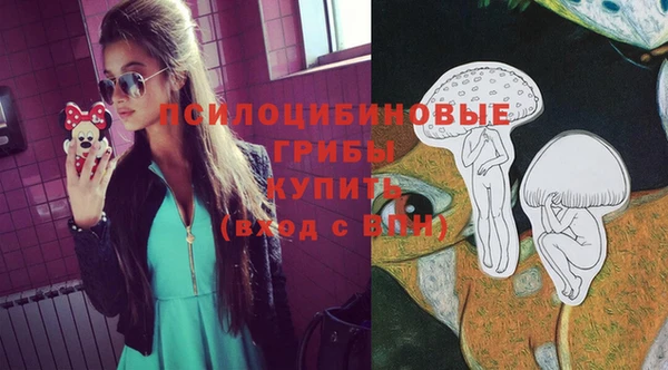 метадон Ельня