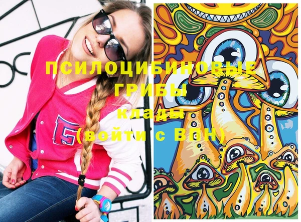 бутират Елабуга