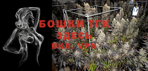 бутират Елабуга